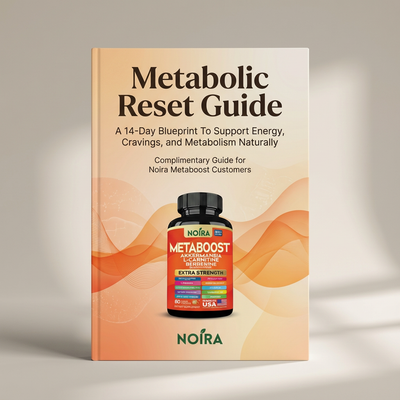 Noira Metabolic Reset Blueprint